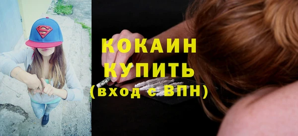 индика Медногорск