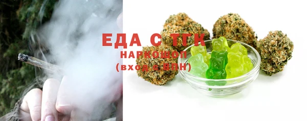 индика Медногорск