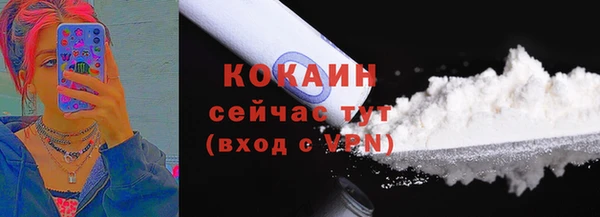 индика Медногорск