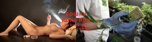 индика Медногорск
