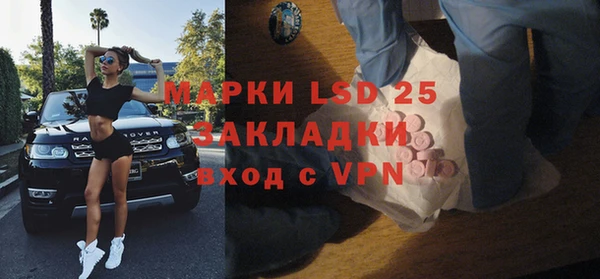 индика Медногорск