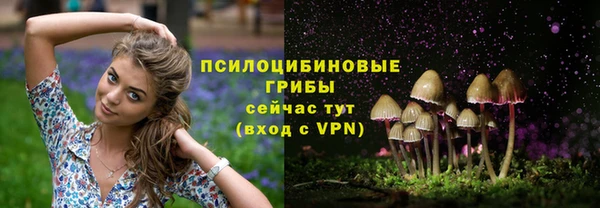 герыч Медвежьегорск