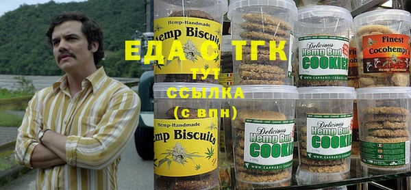 индика Медногорск